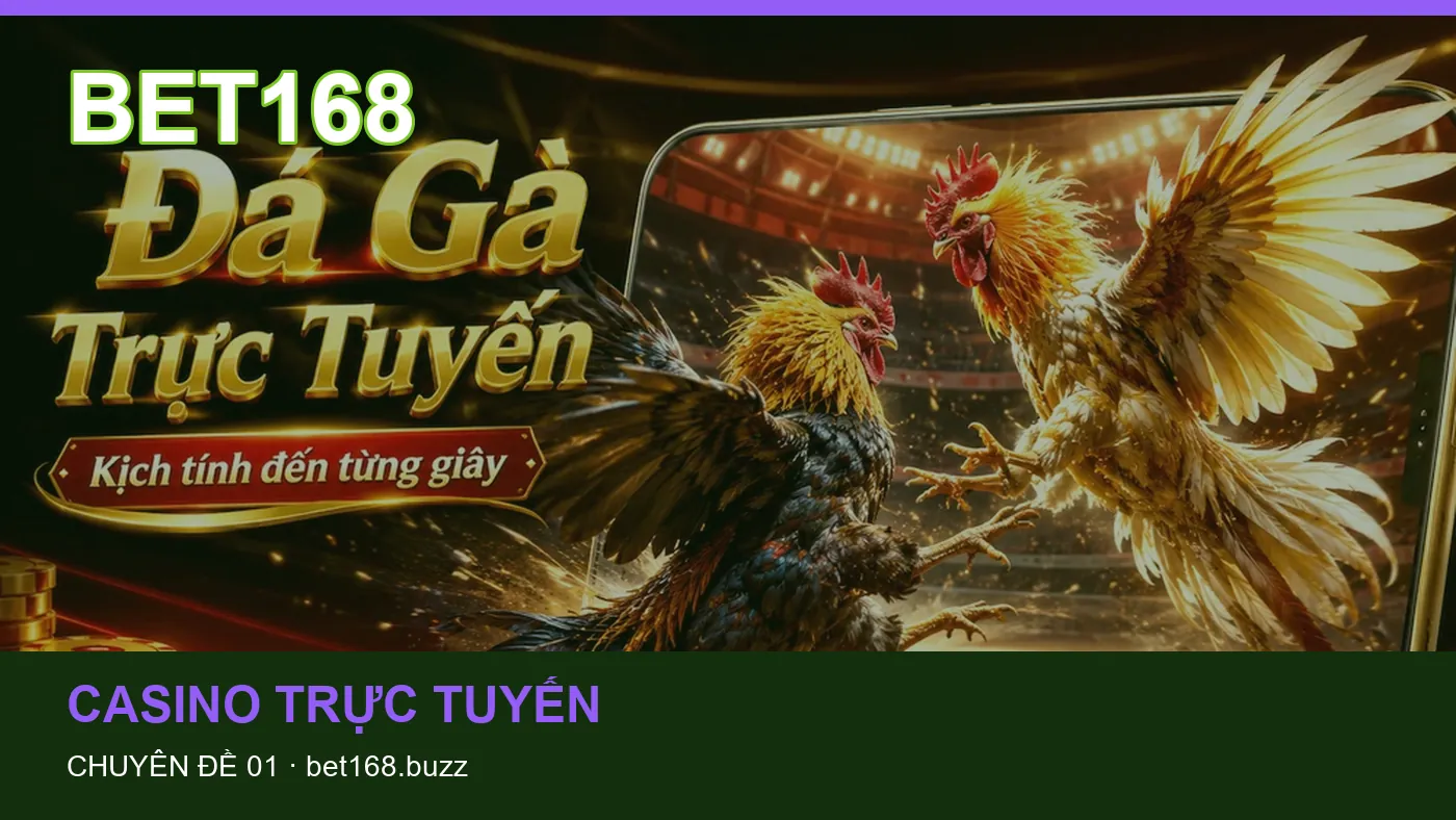 Danh sách kiểm tra thông tin Game bài dành cho người đọc BET168