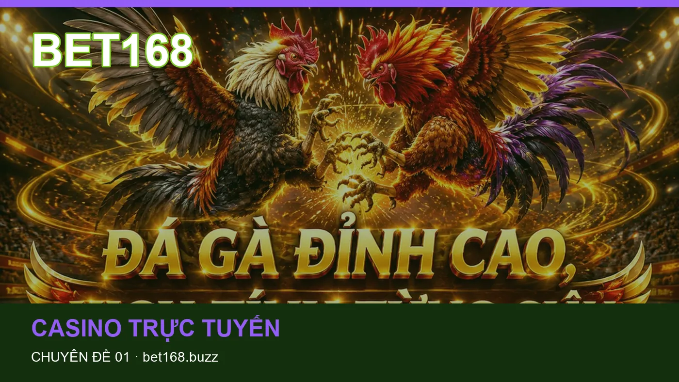 Những nhầm lẫn thường gặp khi đọc nội dung Hướng dẫn trên BET168